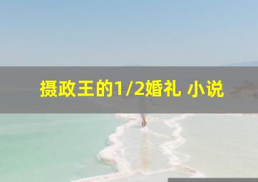 摄政王的1/2婚礼 小说